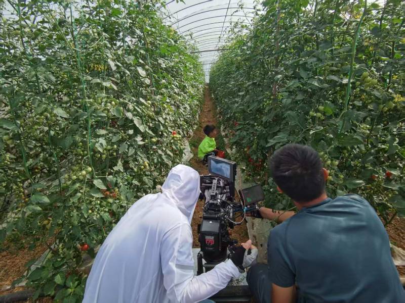 汤阴县产品宣传视频拍摄公司进阶指南，助力品牌抢占传播高地